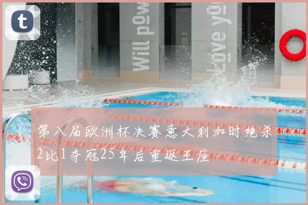 第八届欧洲杯决赛意大利加时绝杀2比1夺冠25年后重返王座