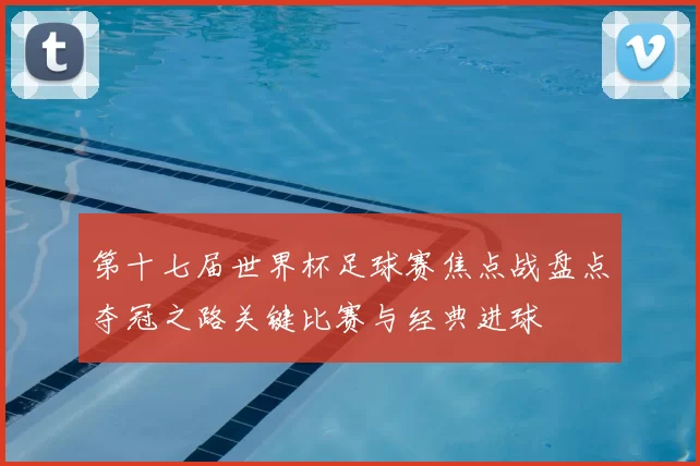 第十七届世界杯足球赛焦点战盘点夺冠之路关键比赛与经典进球