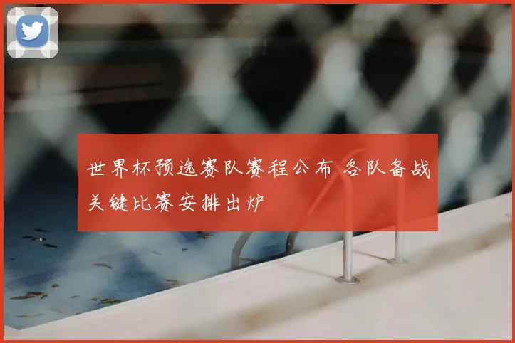 世界杯预选赛队赛程公布 各队备战关键比赛安排出炉