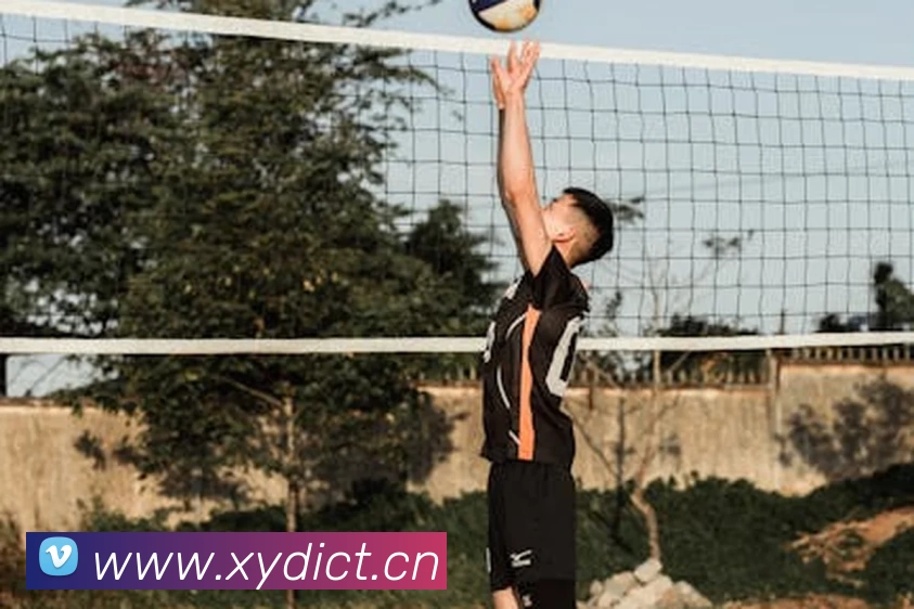 App Interface Preview